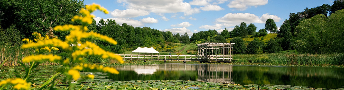 Cornell garden